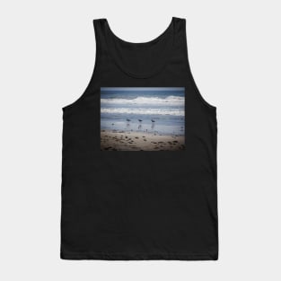 California Beach Birds Chilling on the Sunny Beach Photo V1 Tank Top